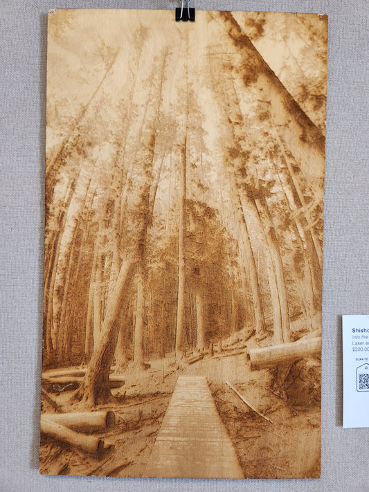Into the Woods - Shishona Turner - Laser engraved photo