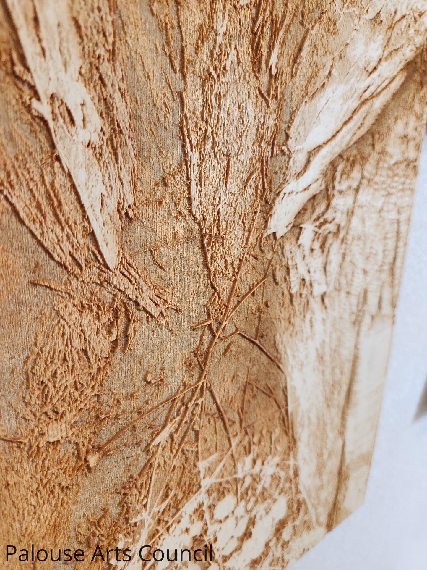Burrow - Shishona Turner - Laser engraved photo