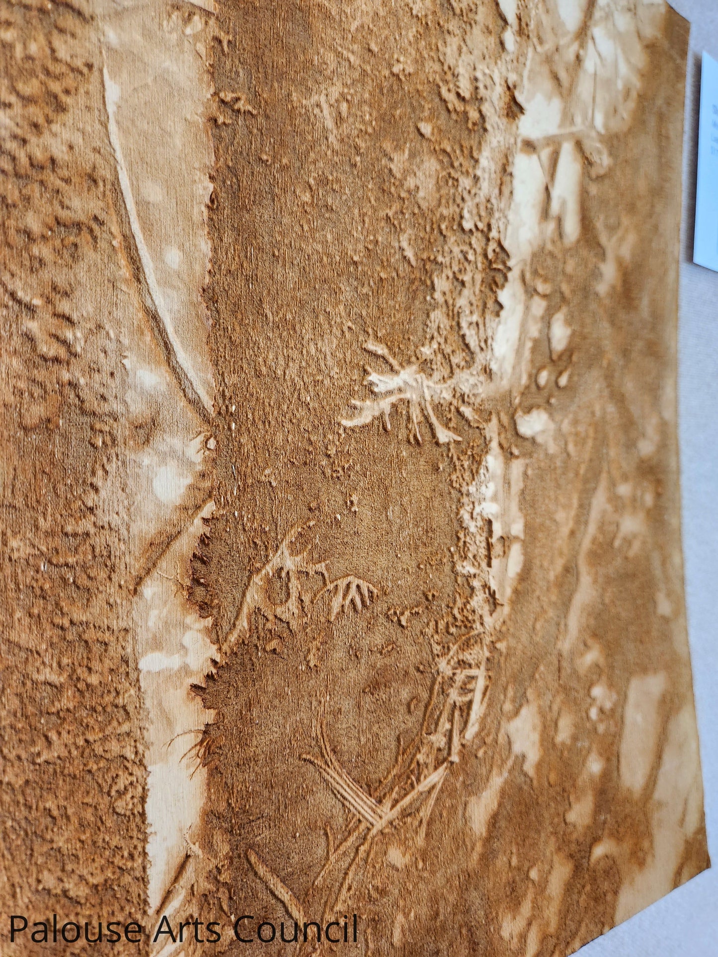 Moss - Shishona Turner - Laser engraved photo