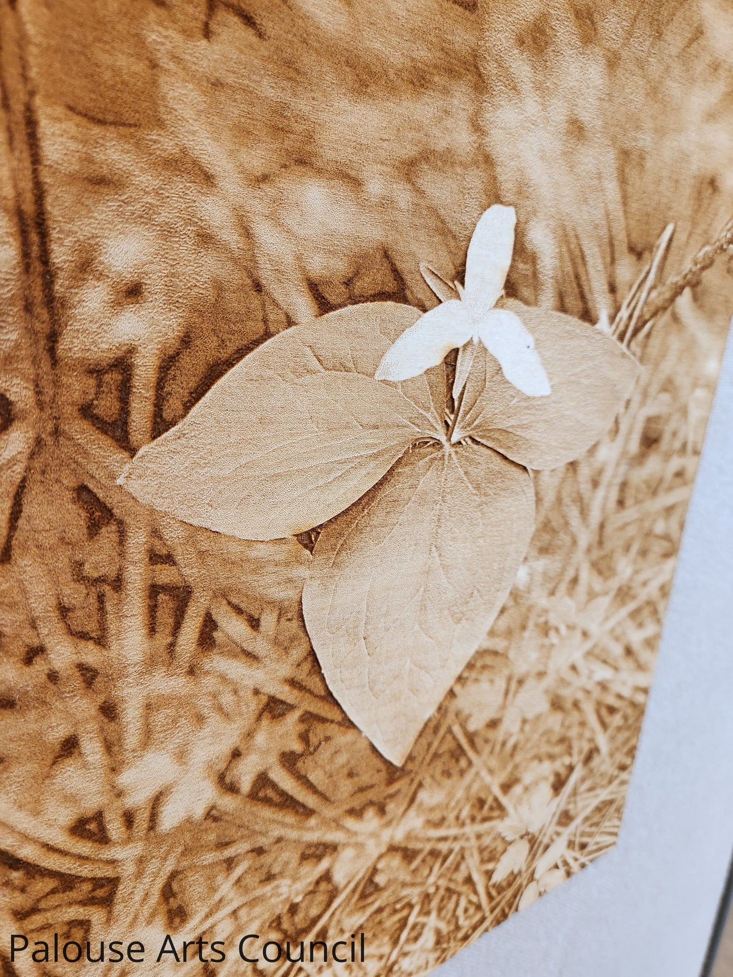 Fairy Trillium - Shishona Turner - Laser engraved photo