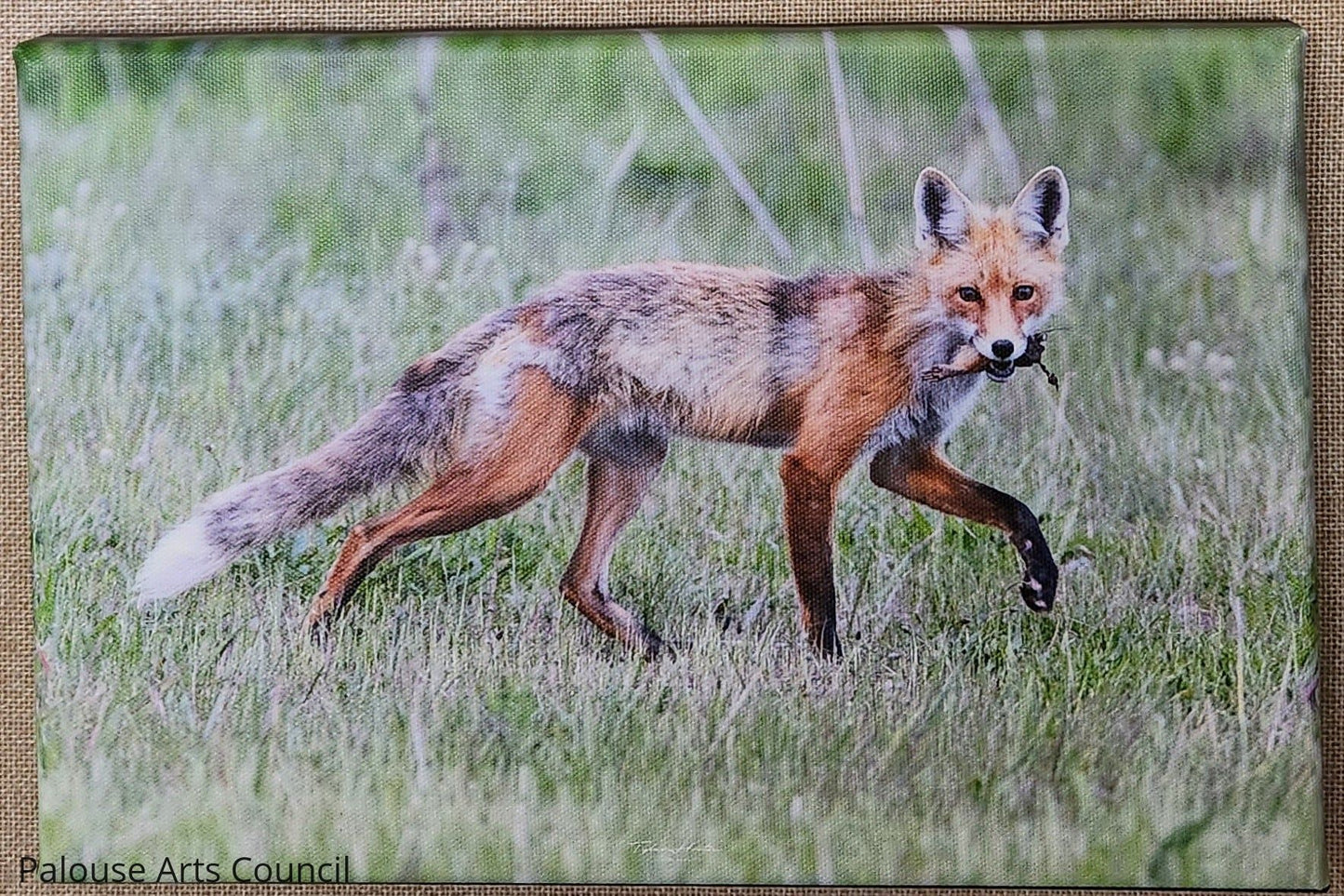Dinner Time - Tyler Horton - Canvas