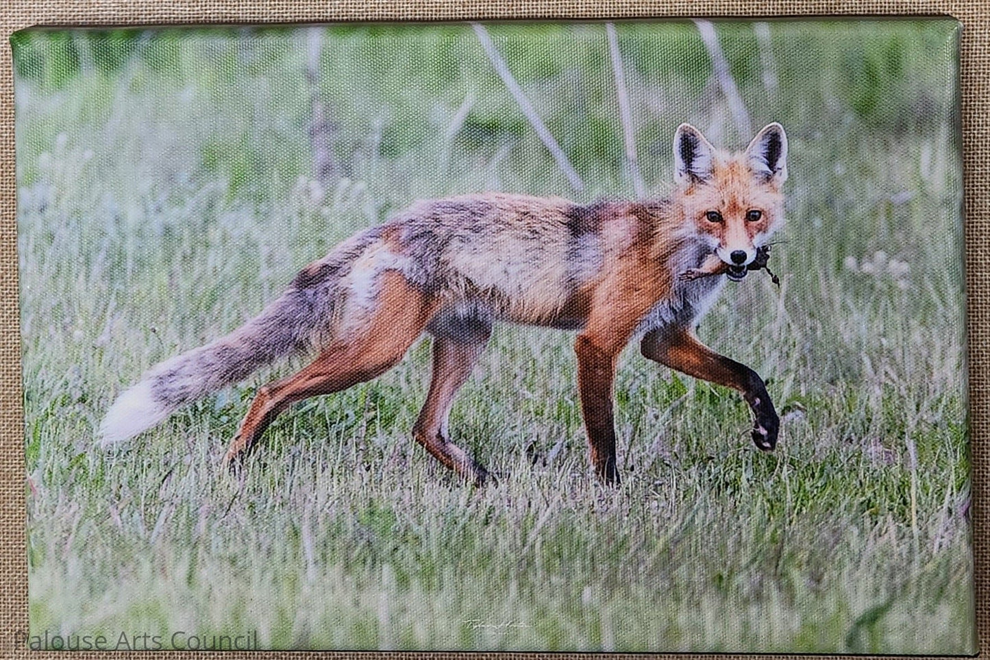 Dinner Time - Tyler Horton - Canvas