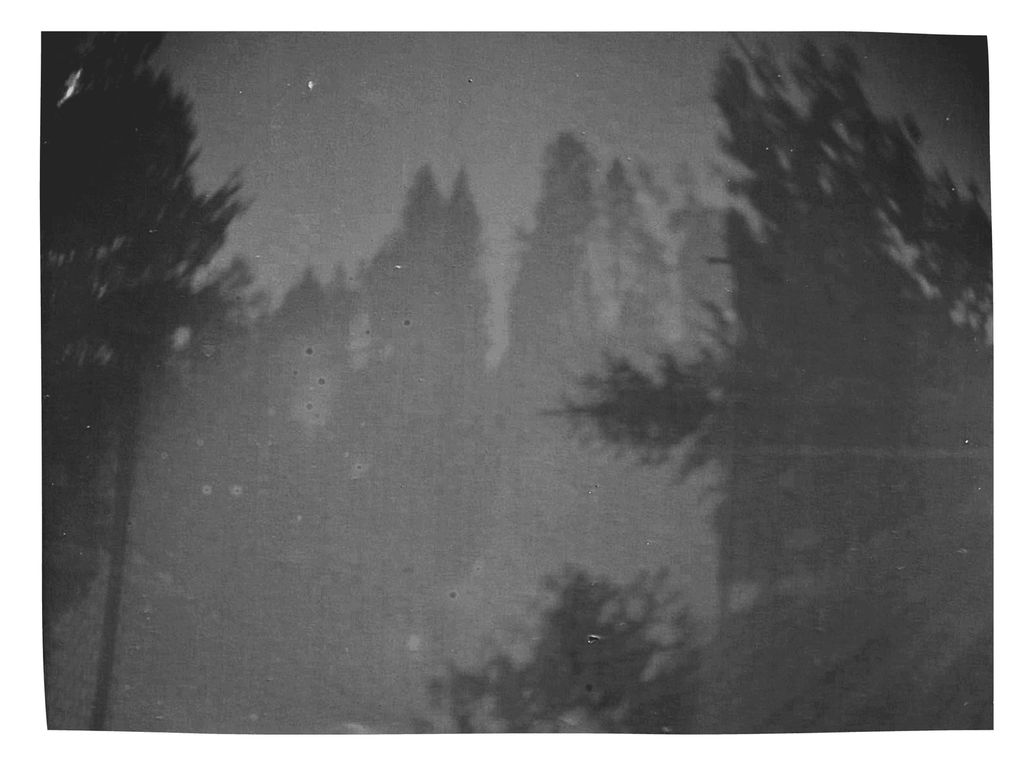 Camera -Not Trash Series
Untitled #8