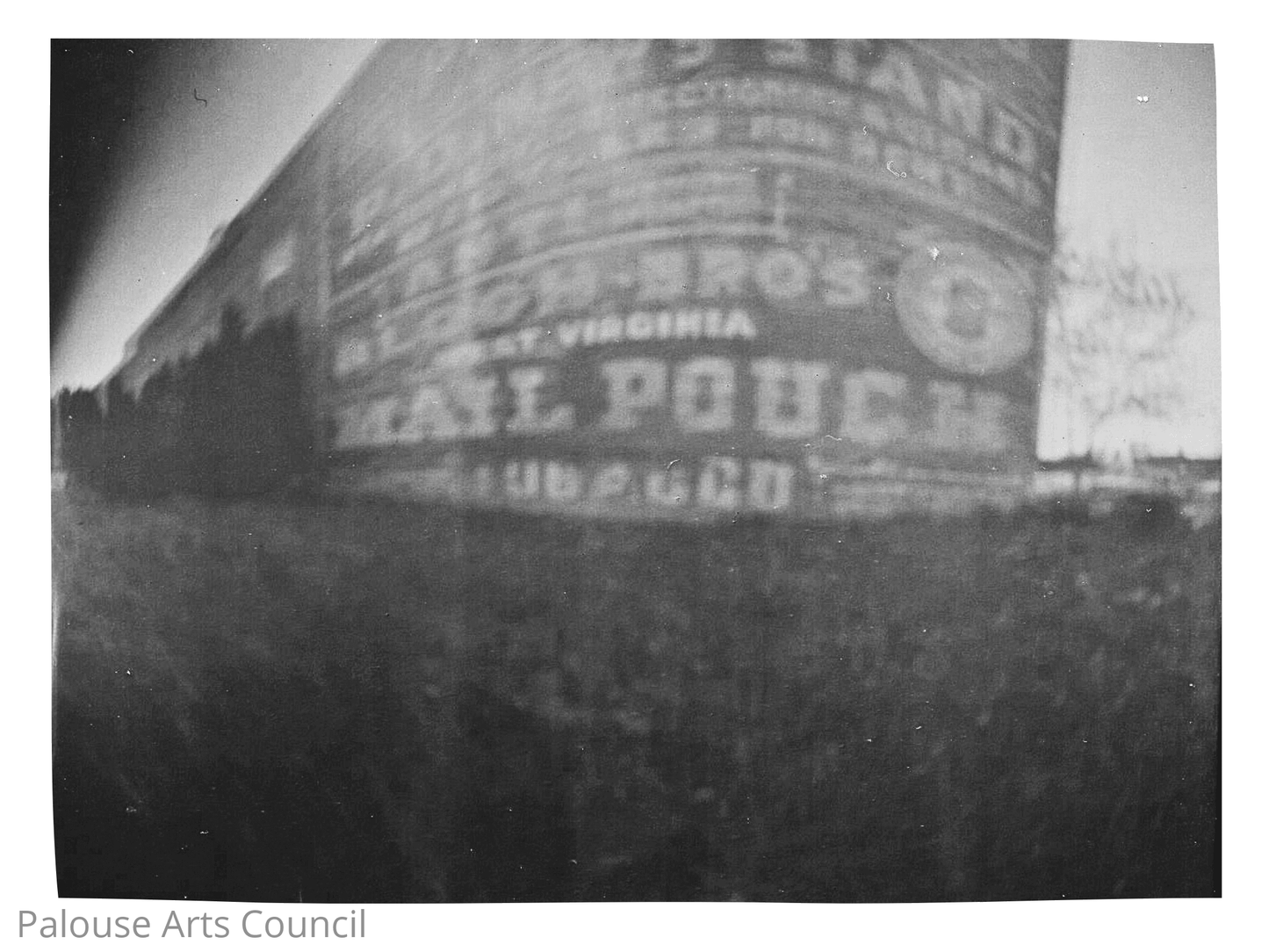 Camera -Not Trash Series
Untitled #5