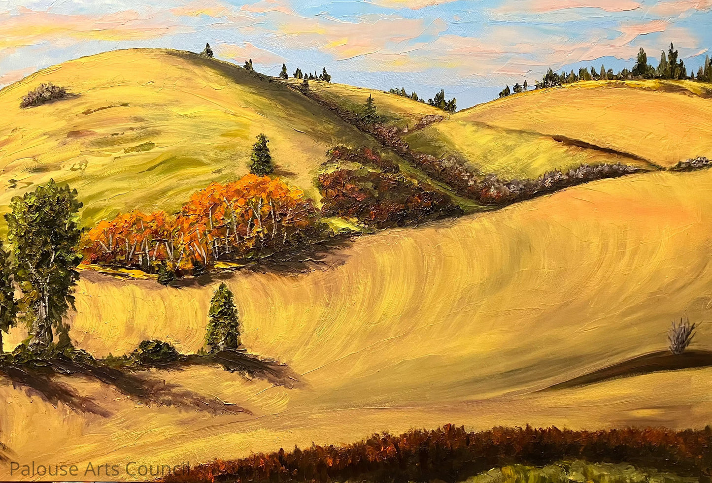 Hills East of Waverly,Wa