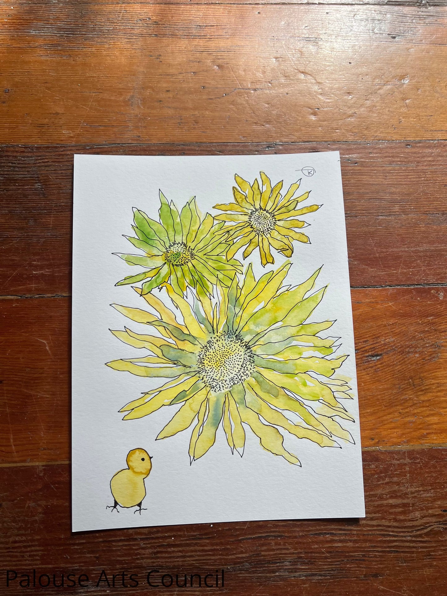 Floral Divergence