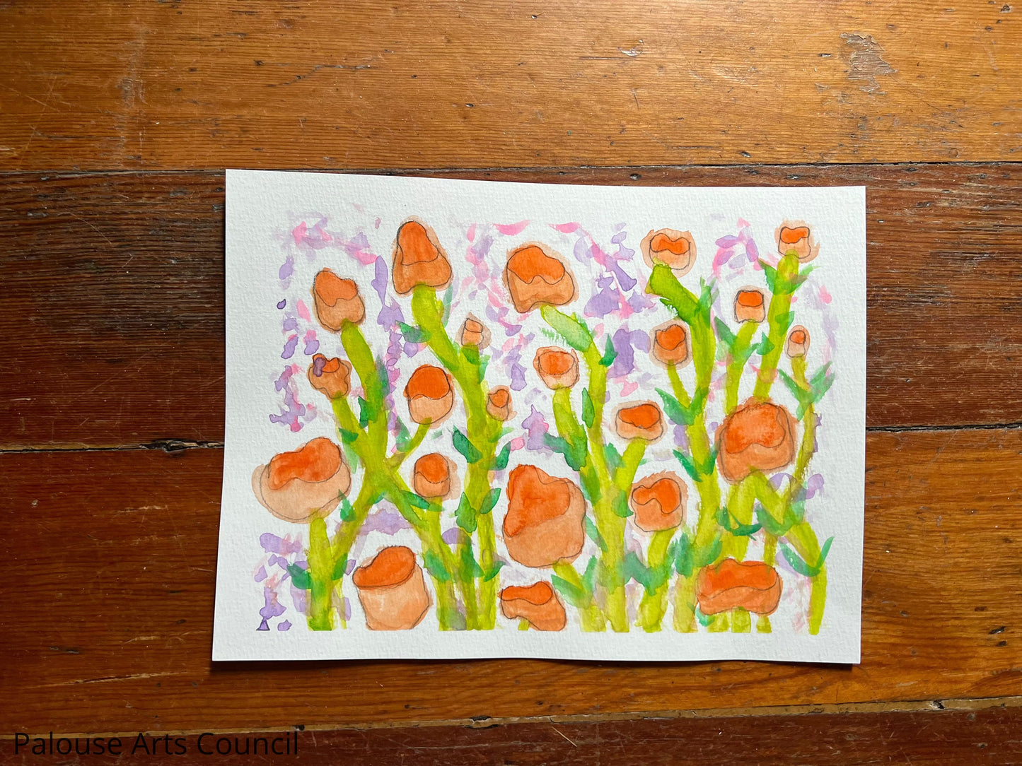 Orange Flowers