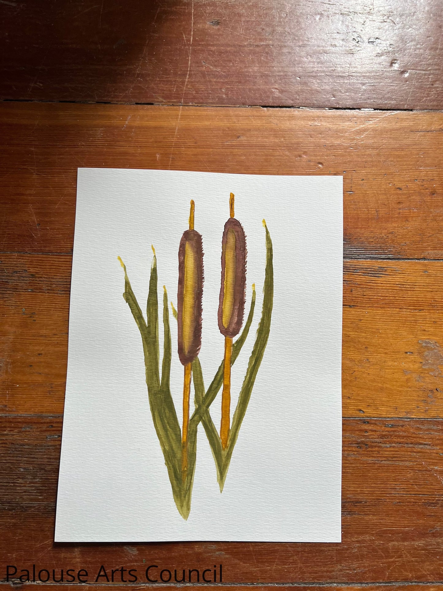 Untitled #2