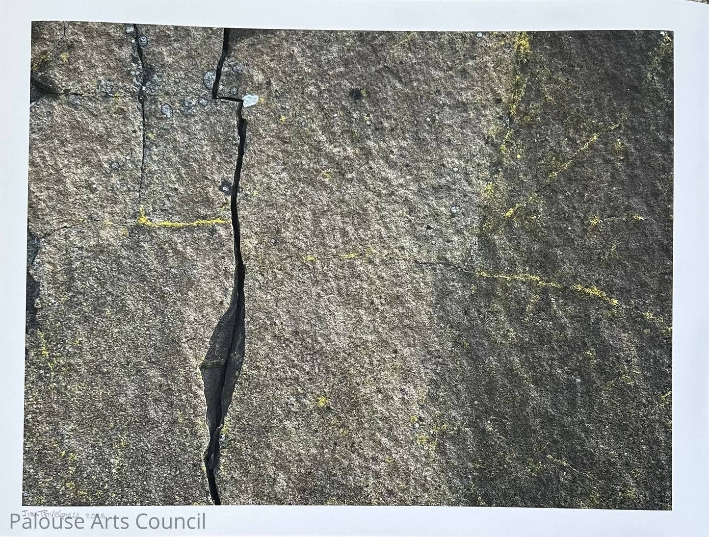 Fracture and Lichen