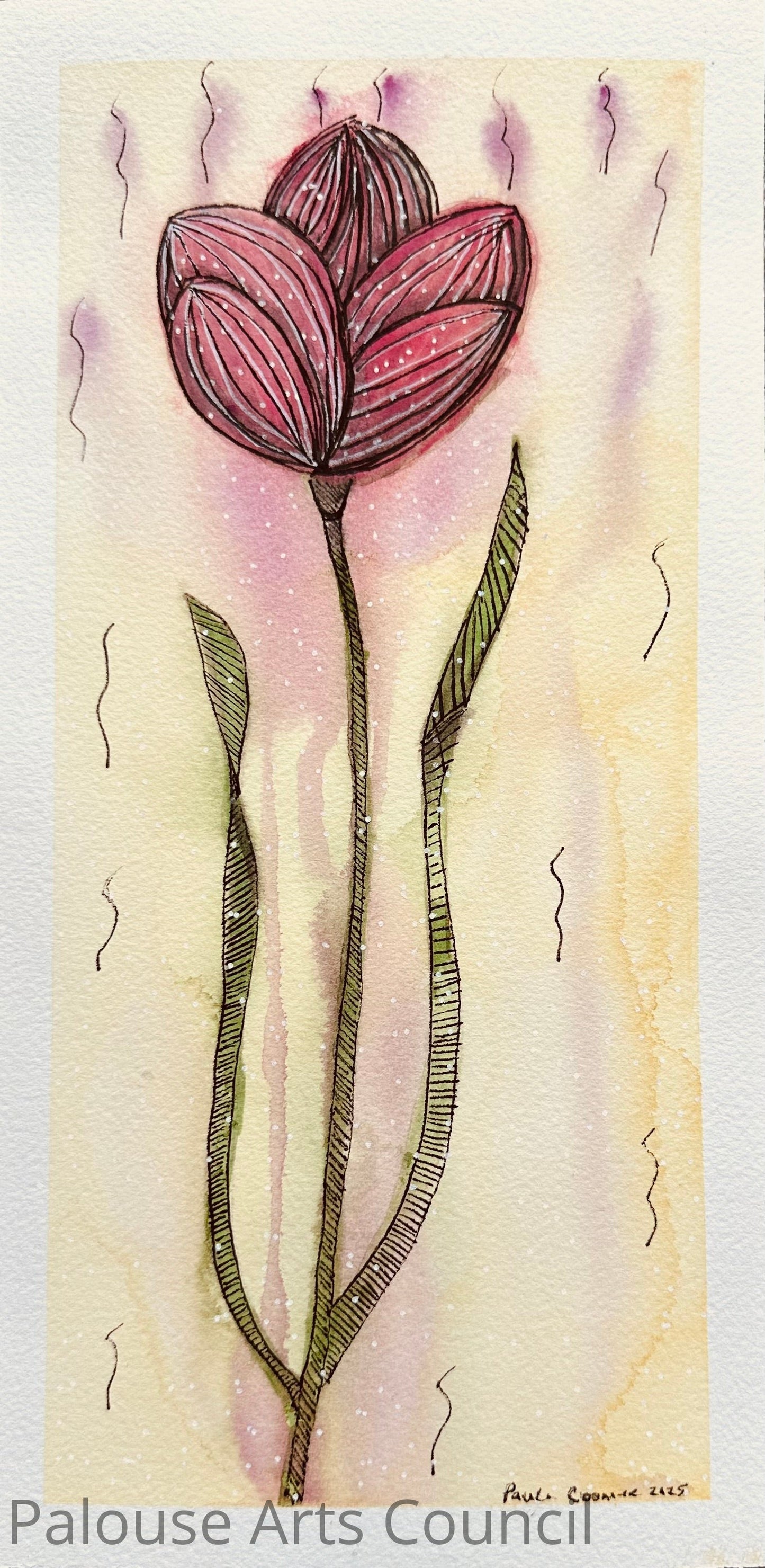 Lone Tulip
