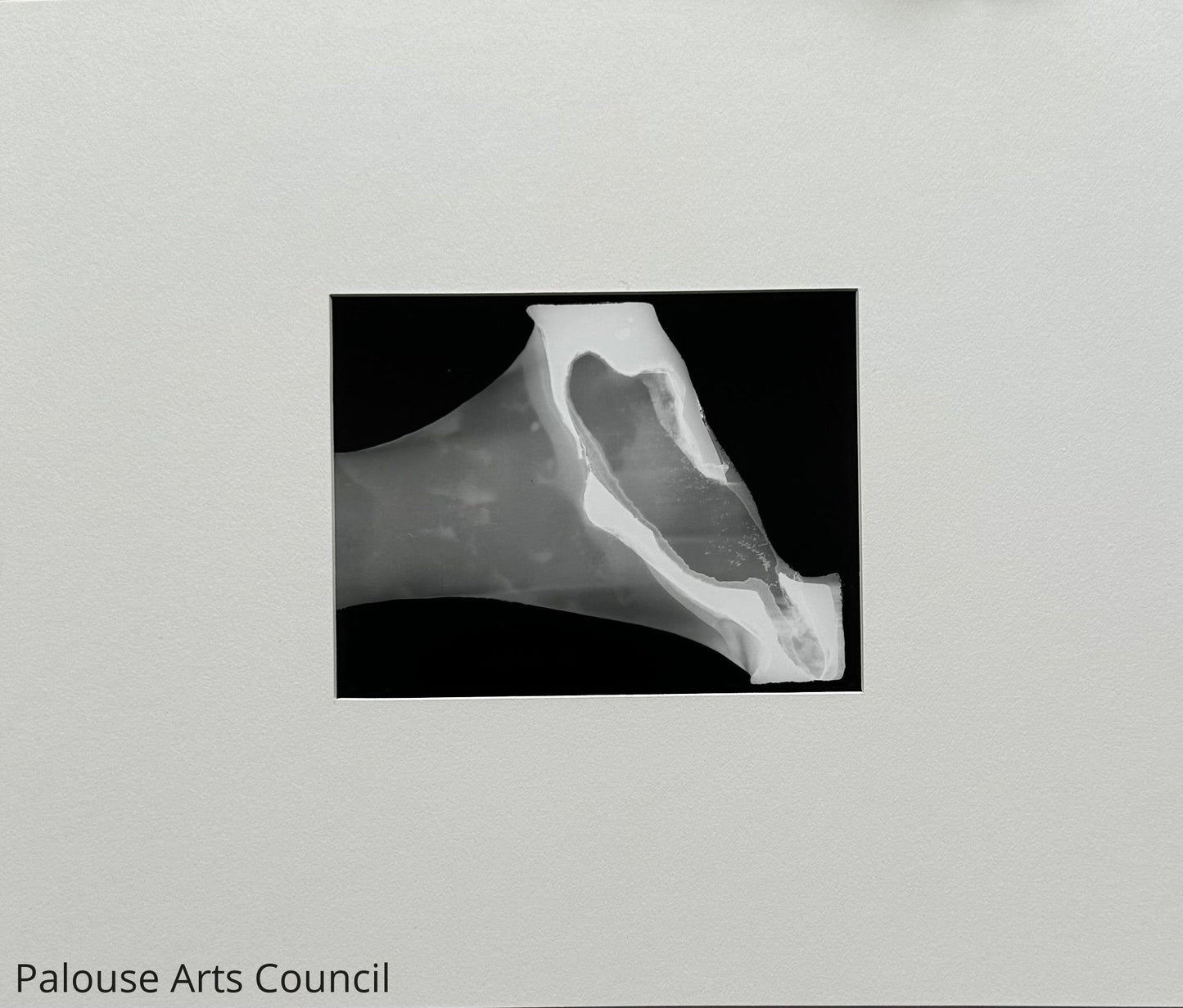 Polaroid Abstract