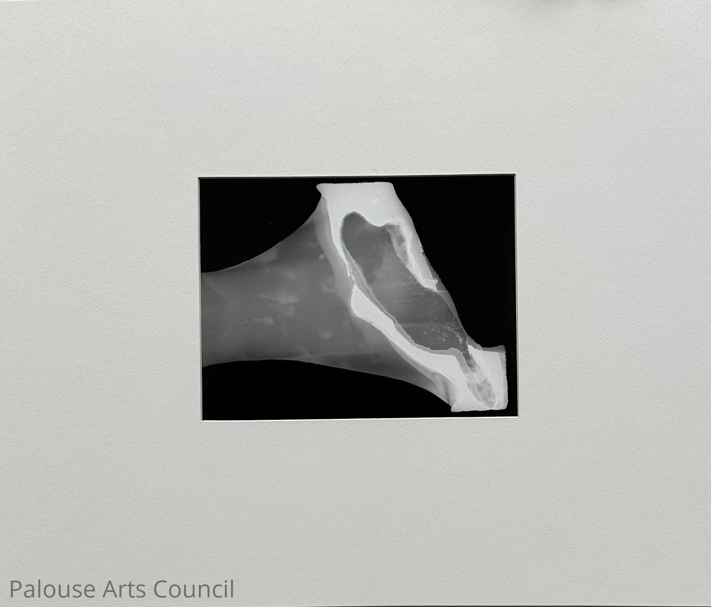 Polaroid Abstract