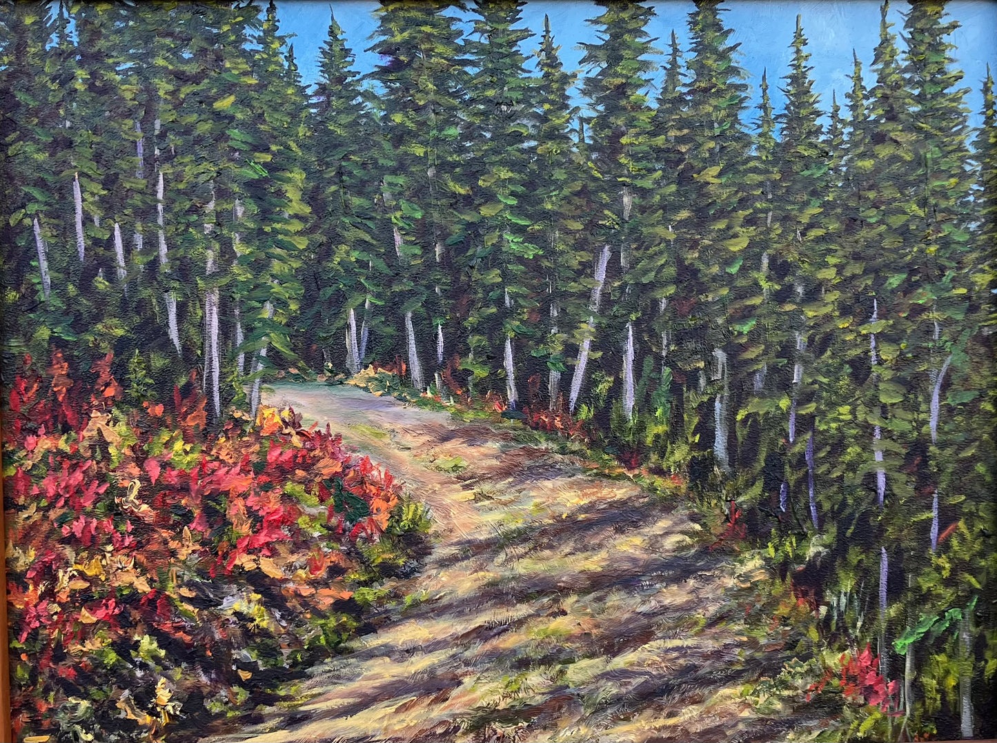 Beargrass Trail, Mt. Spokane, Wa