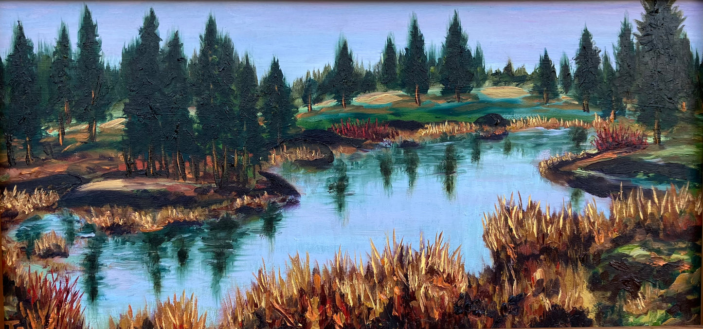 Small pond, Trumbull Wildlife Refuge