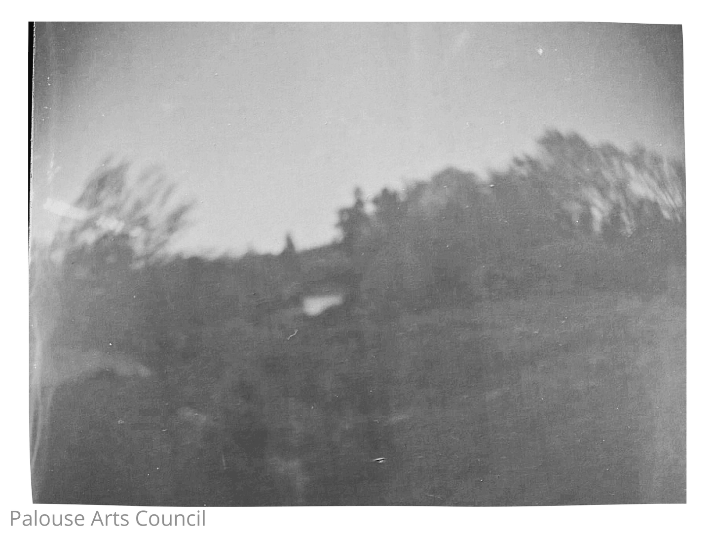 Camera -Not Trash Series
Untitled #3