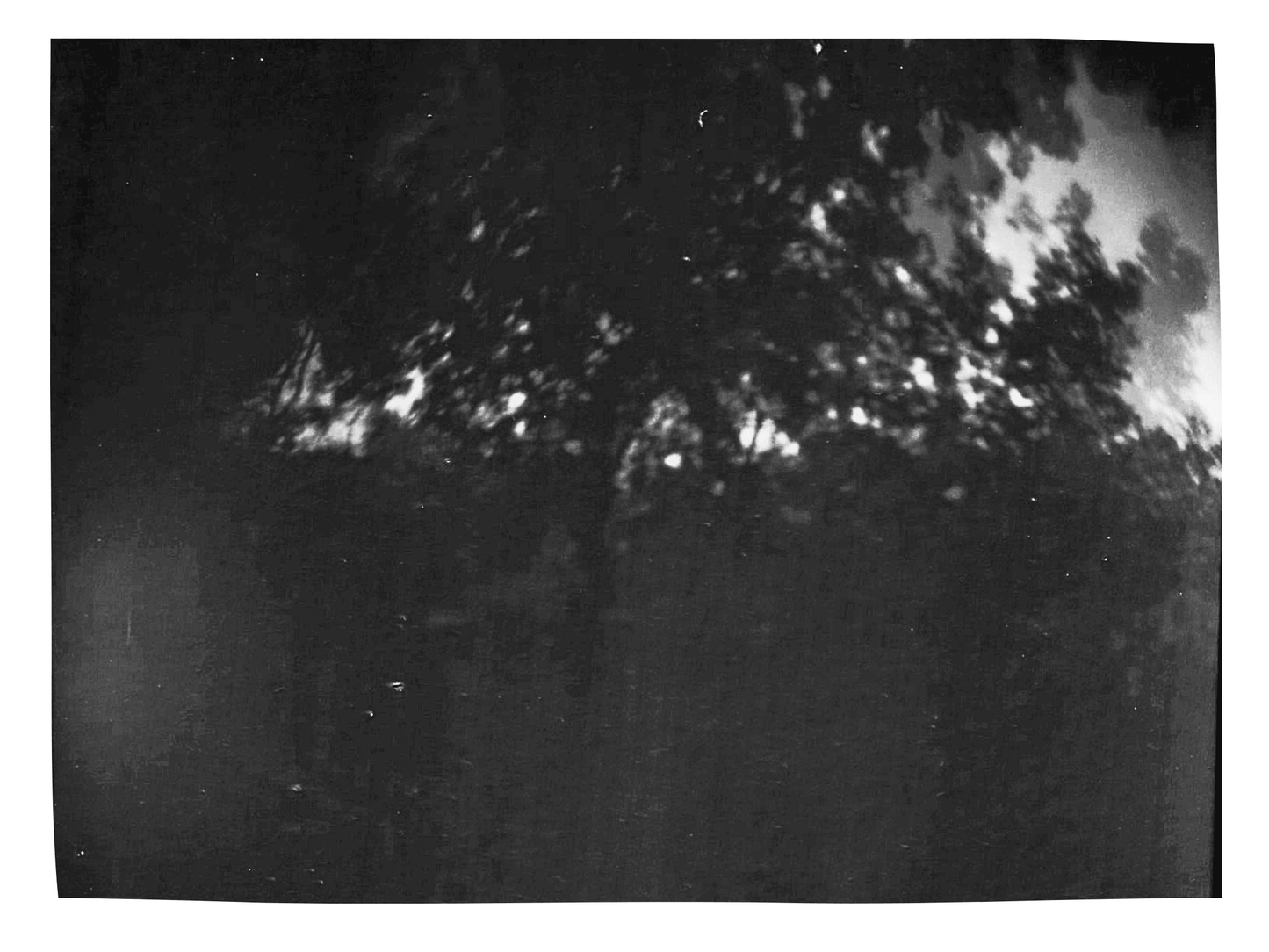 Camera -Not Trash Series
Untitled #2