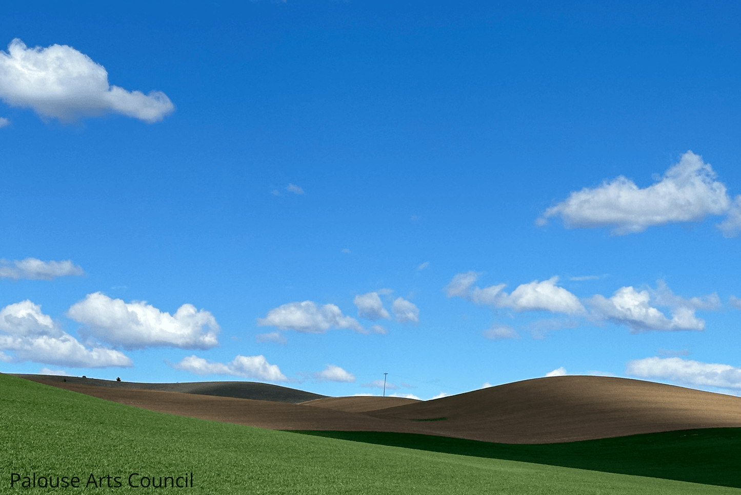 Whitman County Hills - Andy Peltier - Photo on Acrylic