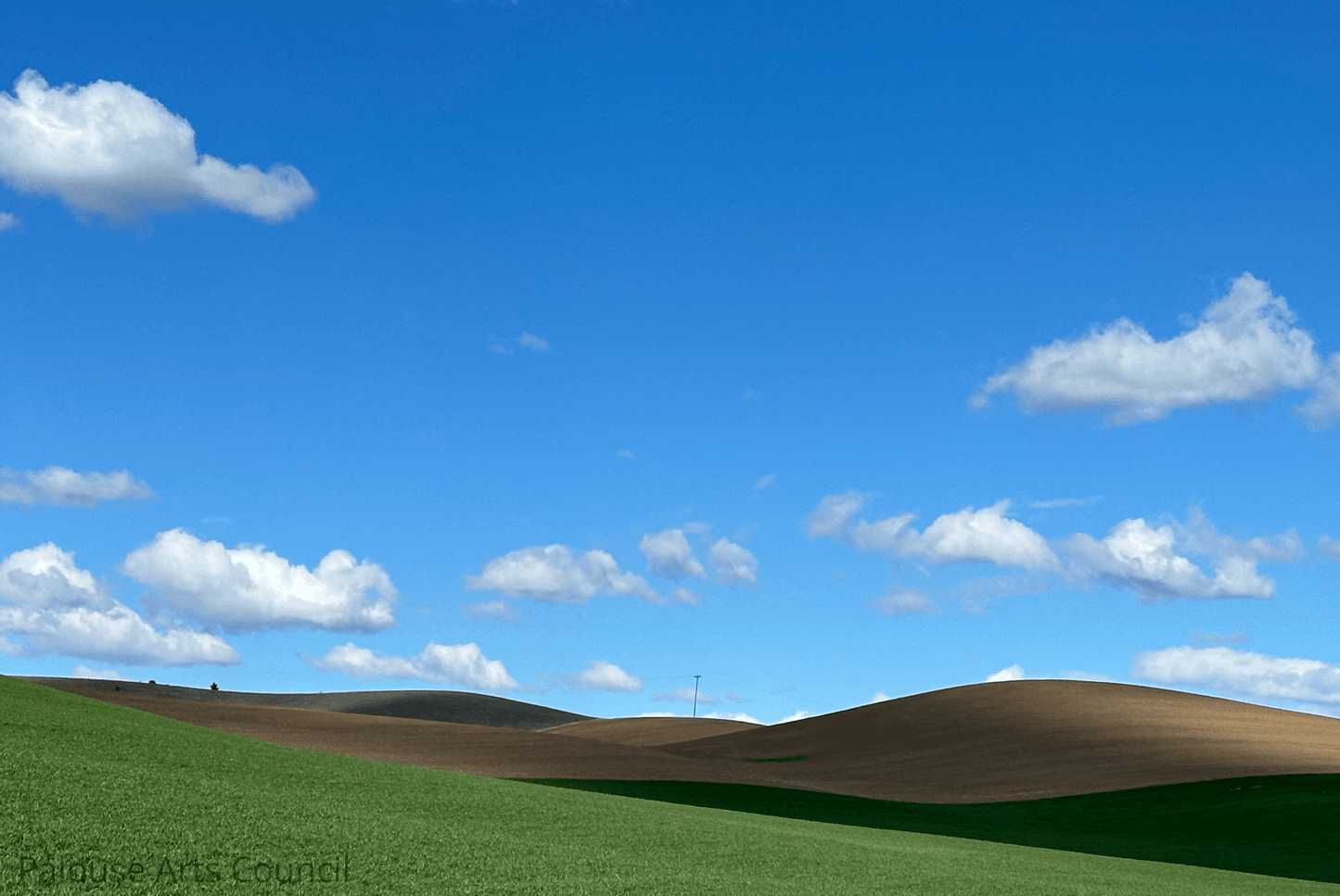 Whitman County Hills - Andy Peltier - Photo on Acrylic