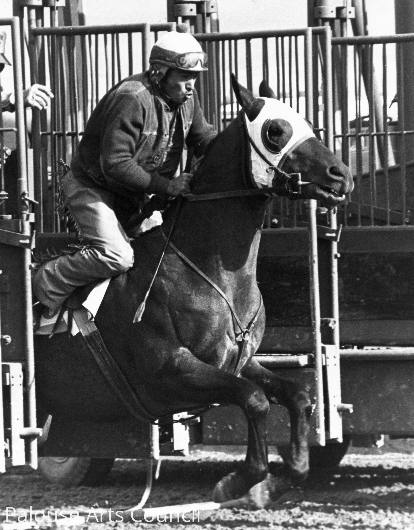 Carlos Gate Training