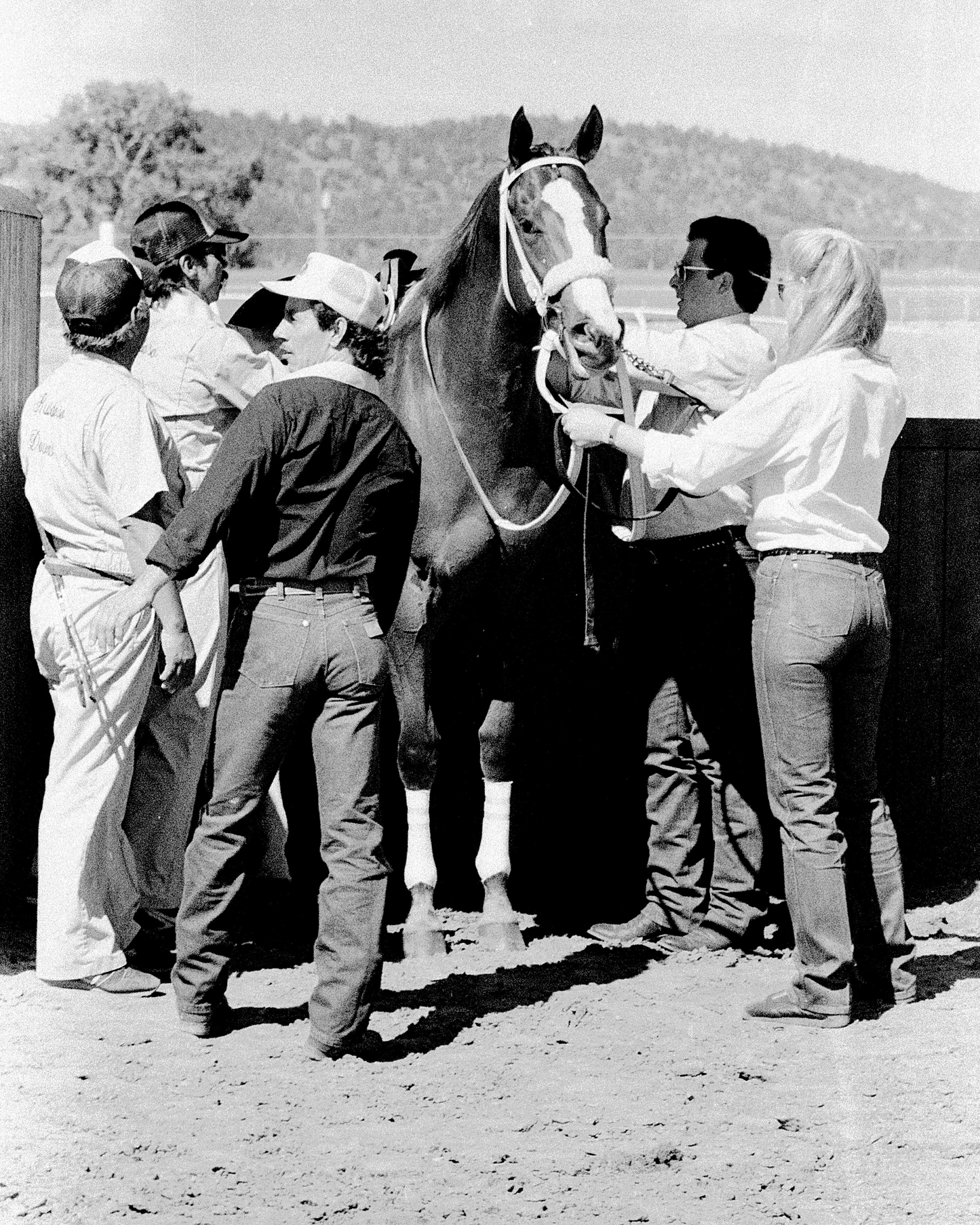 Seven Minutes to Post