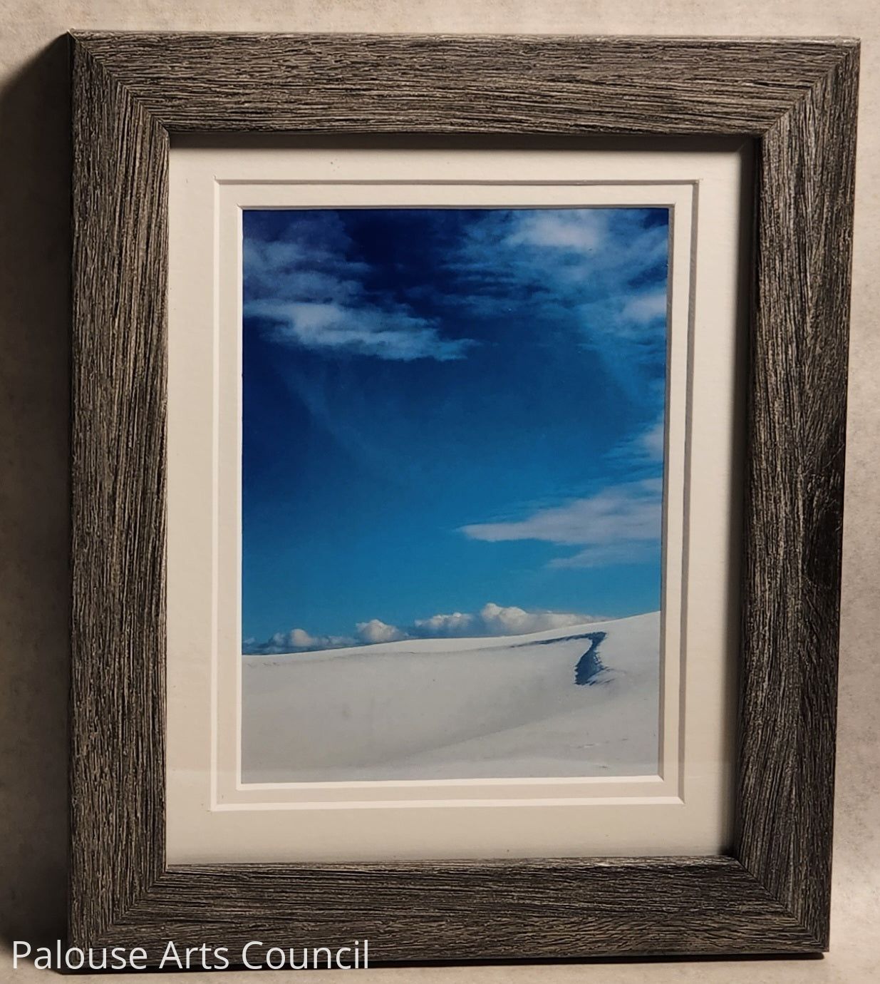 PalouseScapes #2 - Sharon Oliverson White - Photography