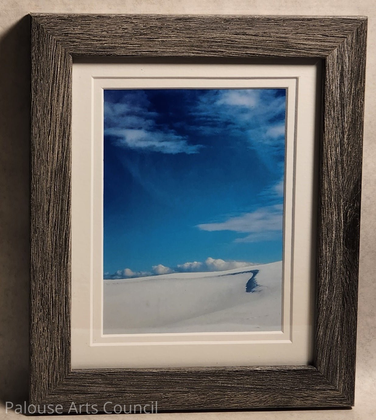 PalouseScapes #2 - Sharon Oliverson White - Photography