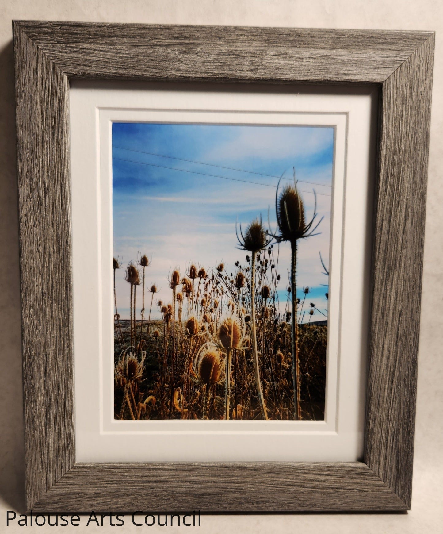 PalouseScapes #5 - Sharon Oliverson White - Photography