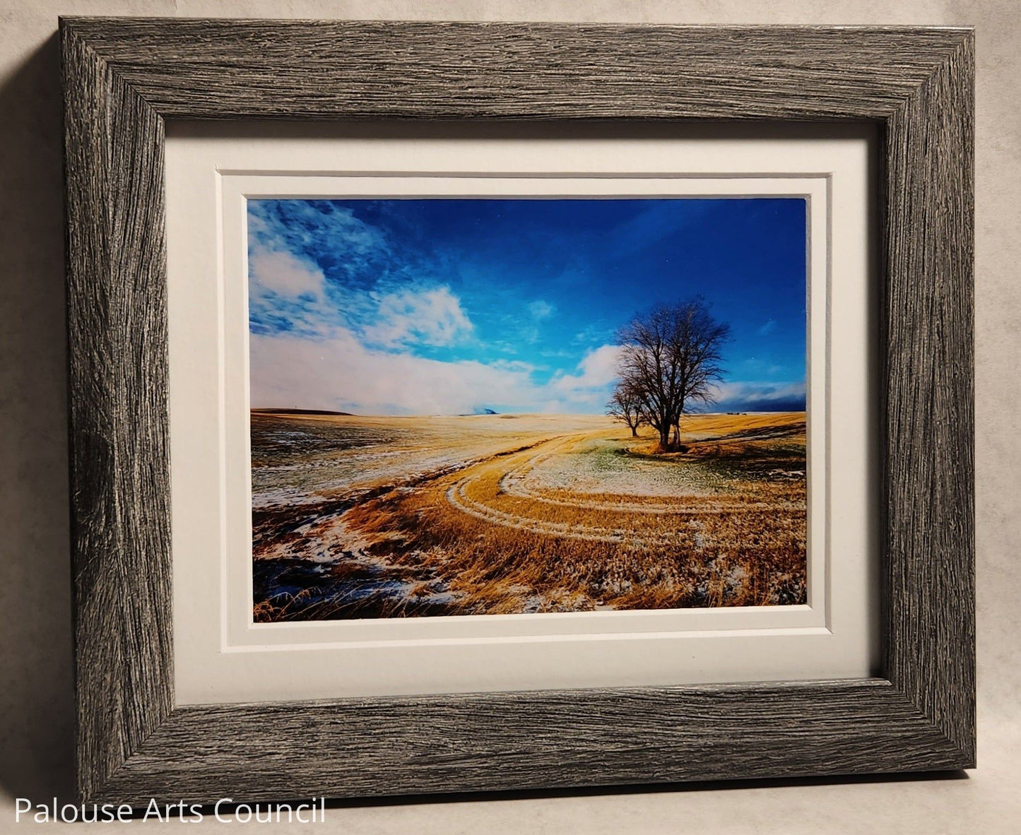 PalouseScapes #6 - Sharon Oliverson White - Photography