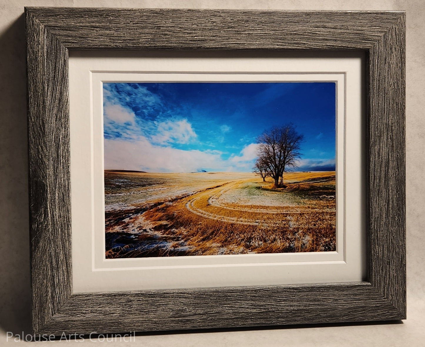 PalouseScapes #6 - Sharon Oliverson White - Photography