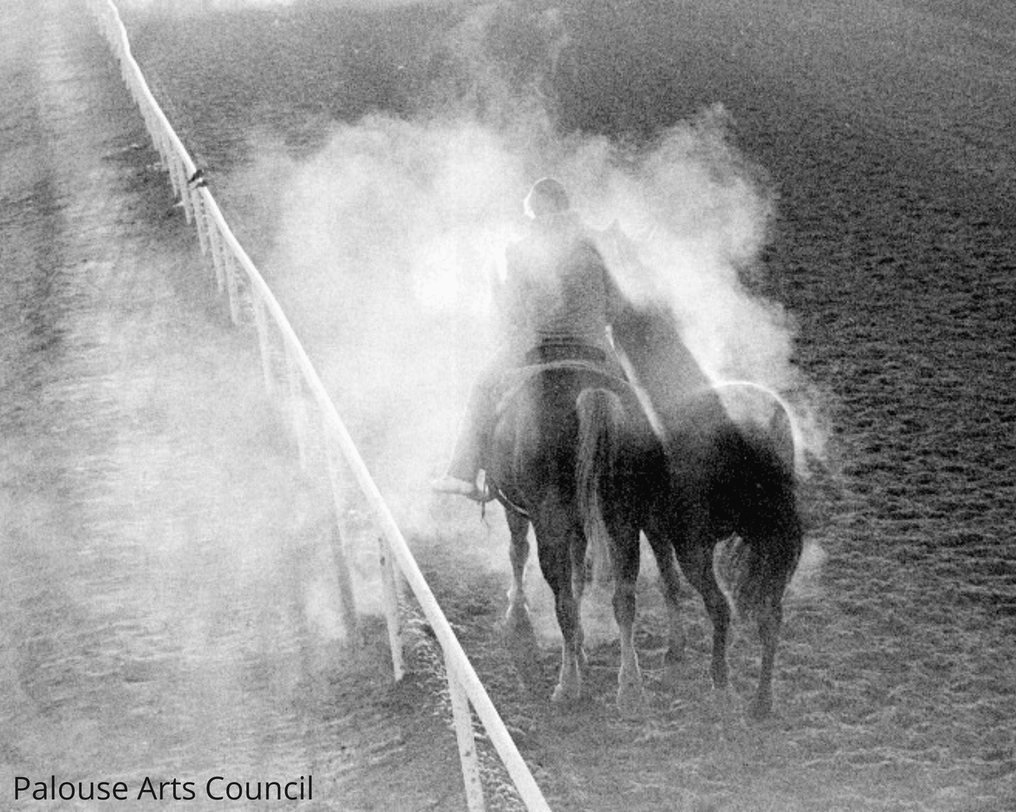Steam Pony