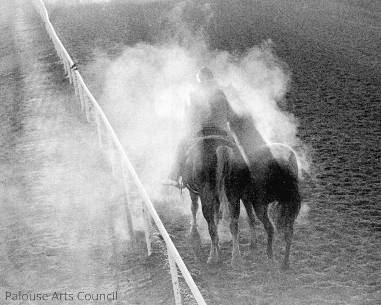Steam Pony