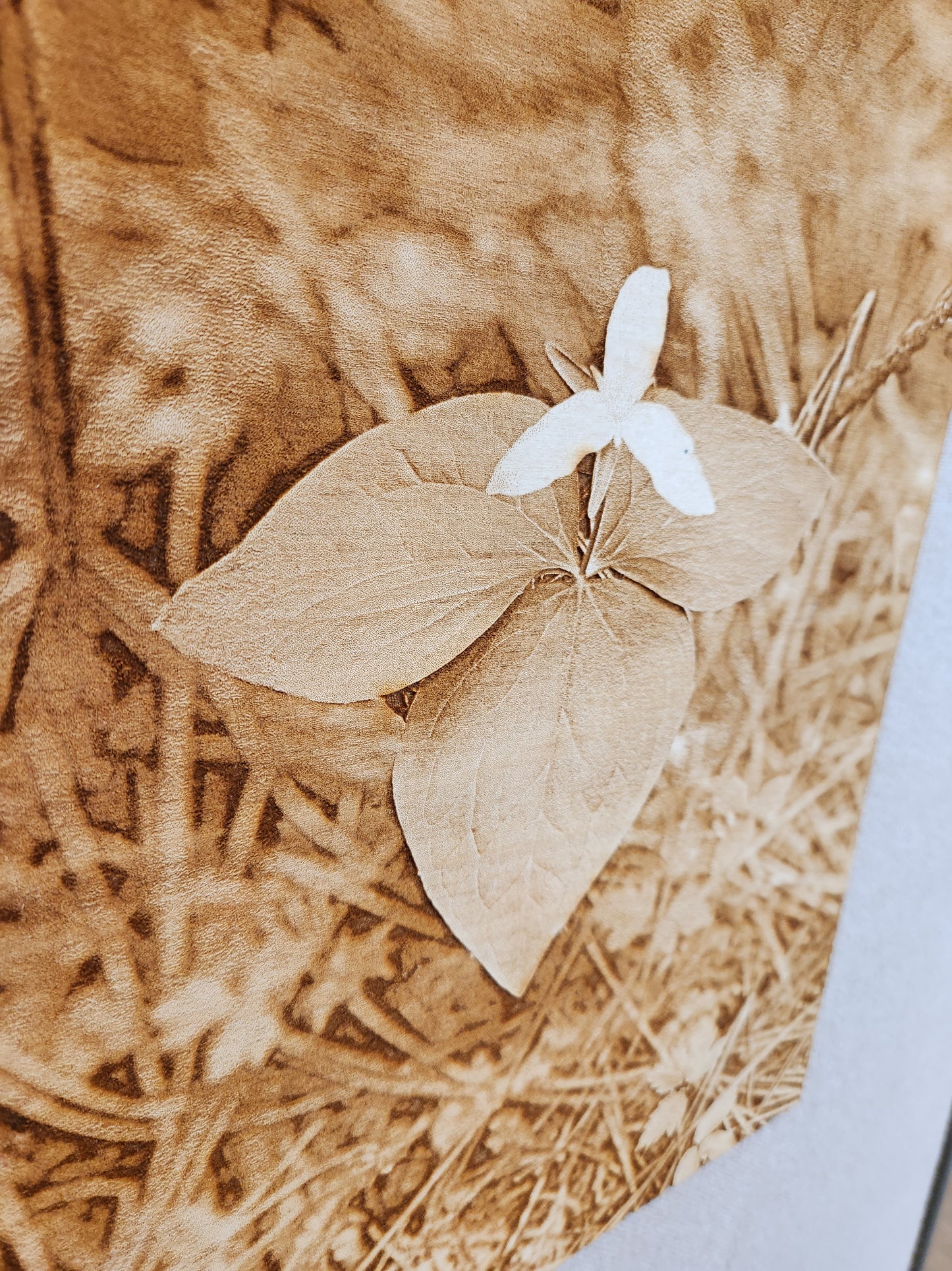 Fairy Trillium - Shishona Turner - Laser engraved photo