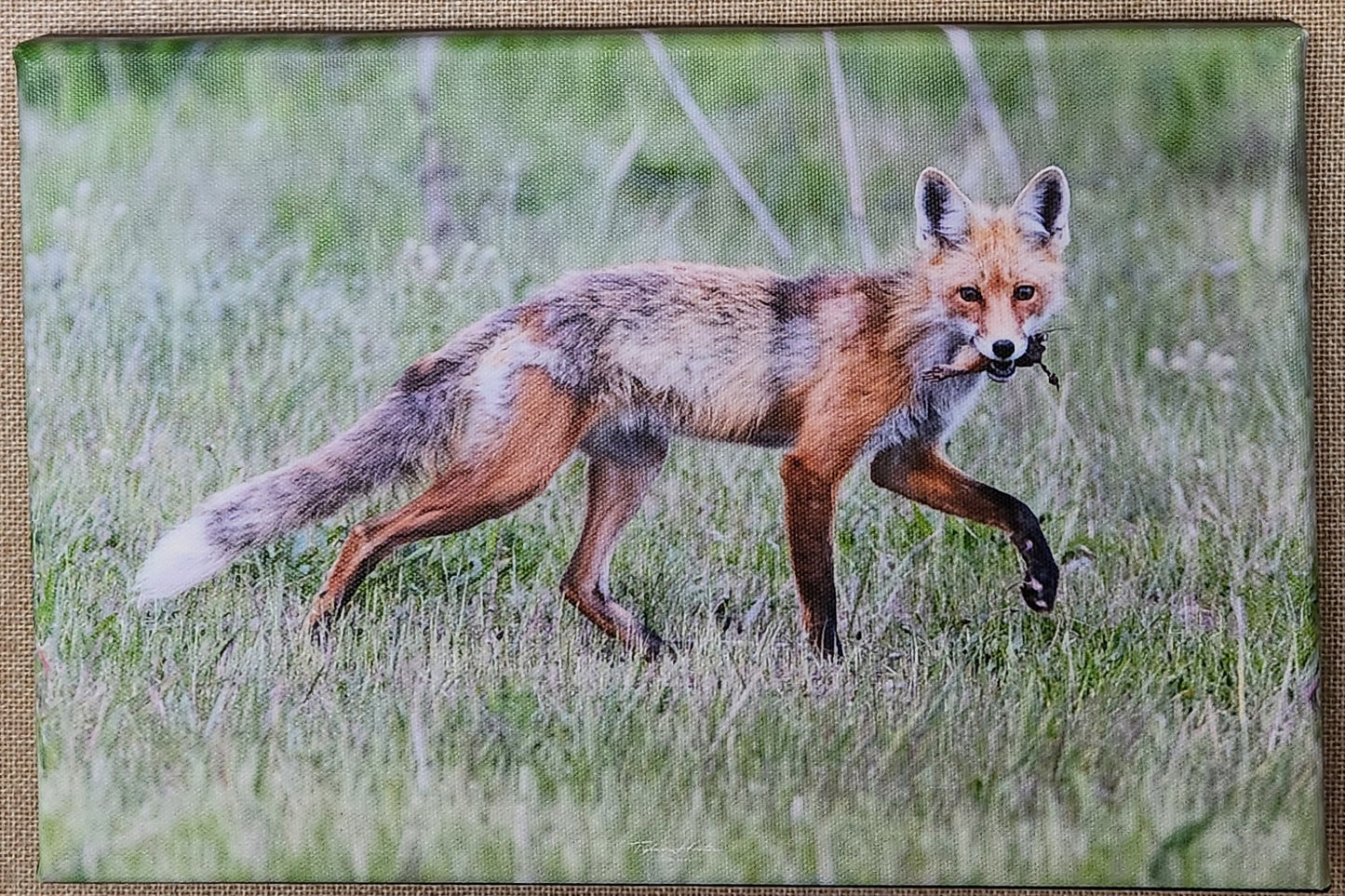 Dinner Time - Tyler Horton - Canvas