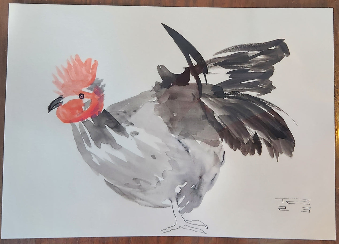 Chicken Series #6 - Tina Ochs - Sumi Ink