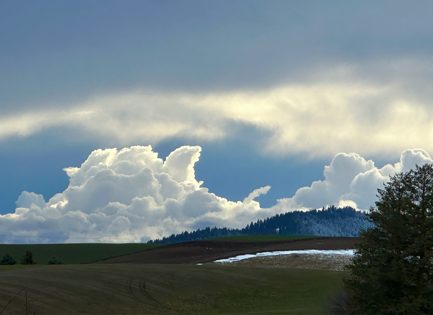 Clouds Over Kamiak - Andy Peltier - Photo on Acrylic