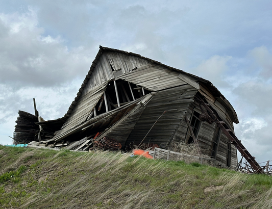 Fallen Shedhouse - Andy Peltier - Photo on Metal