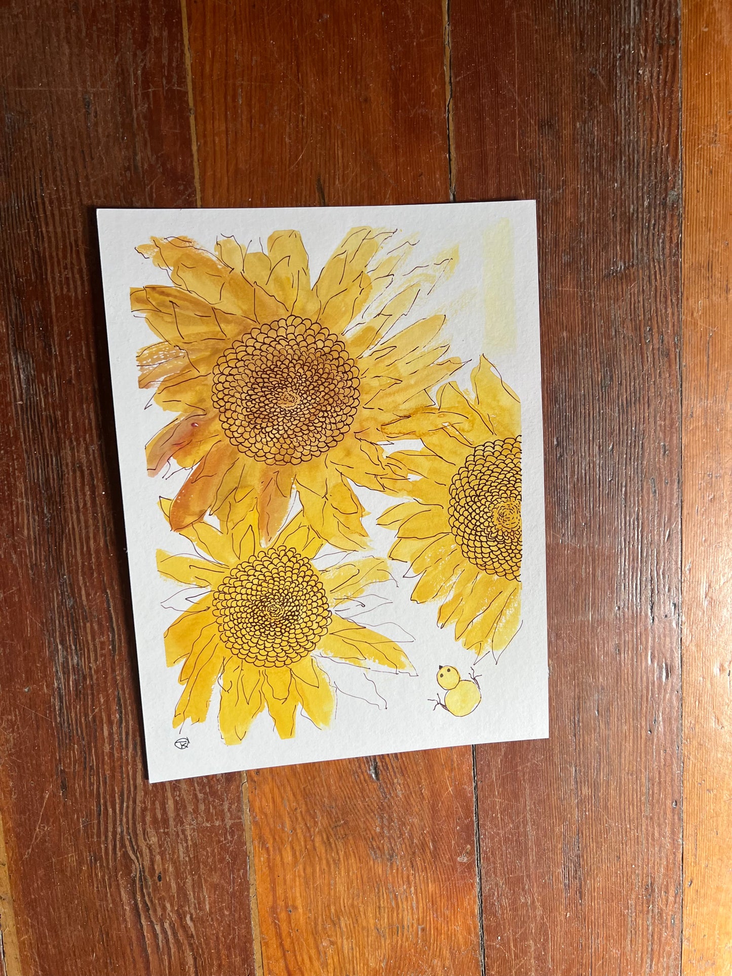 Sunflower Meditations