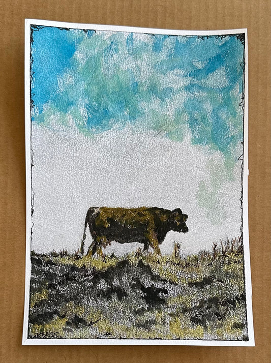 North River Road Resident Cow