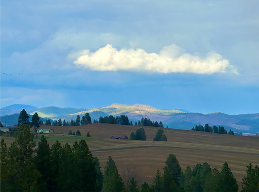 Idaho Hill in Light - Andy Peltier - Photo on Acrylic