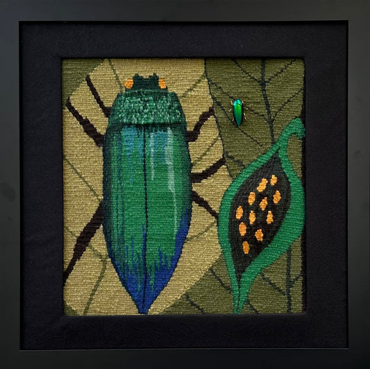 Jewel Beetle-Gail Chambers (PHWG)