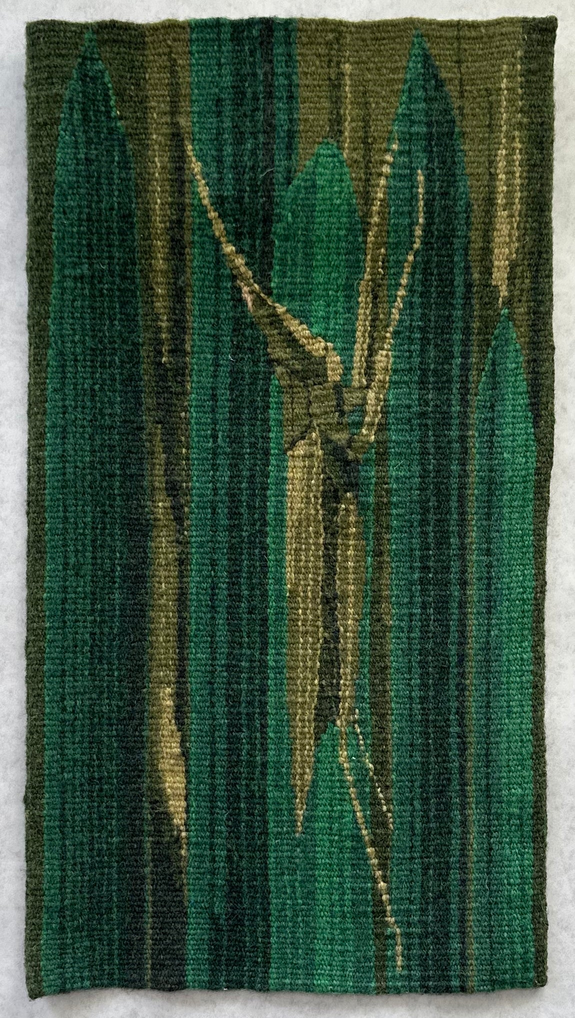 Meadow Grasshopper- Gail Chambers (PHWG)