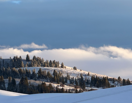 Snow Hillscape - Andy Peltier - Canvas Photo Print