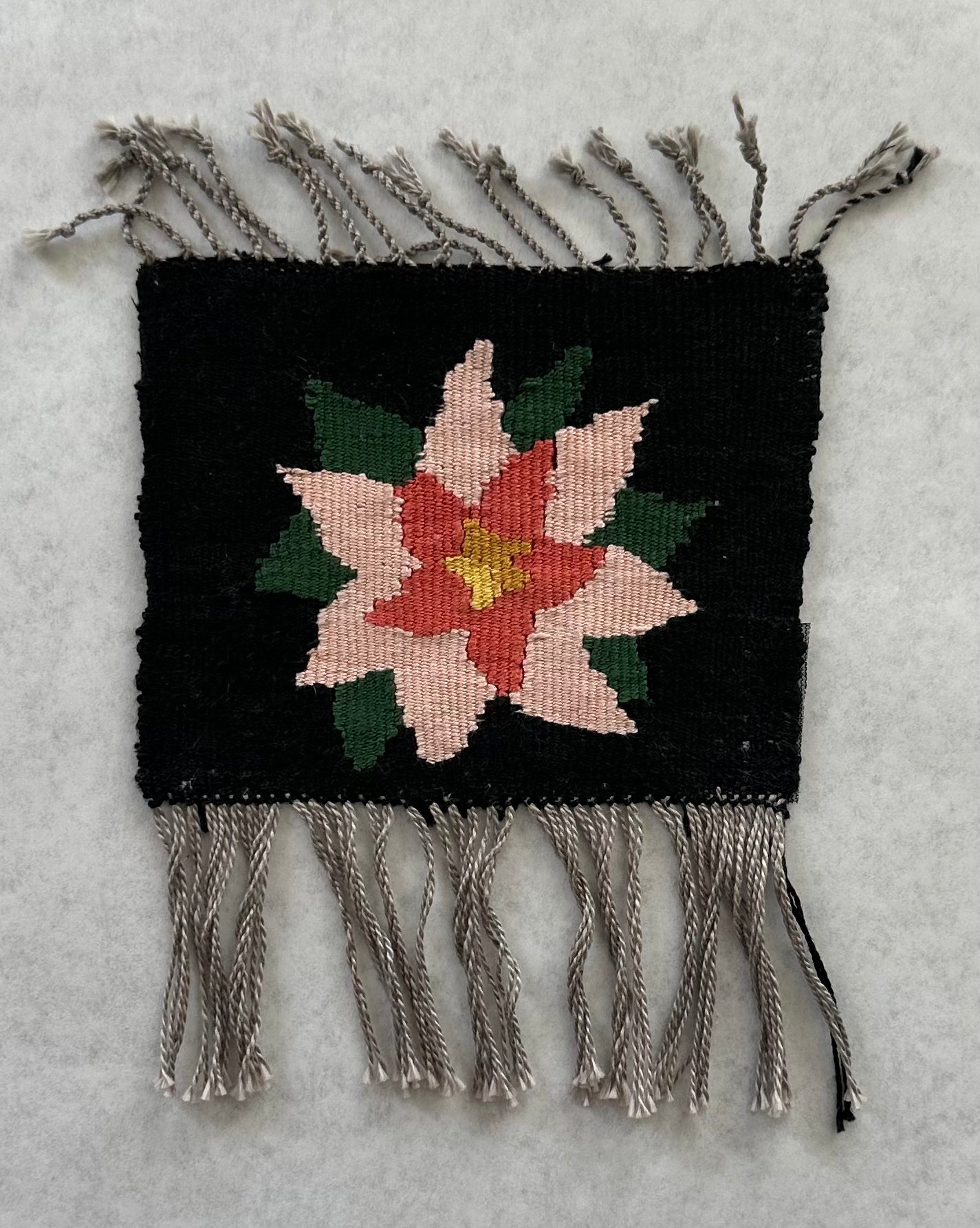 Star Flower- Judy Cochran(PHWG)