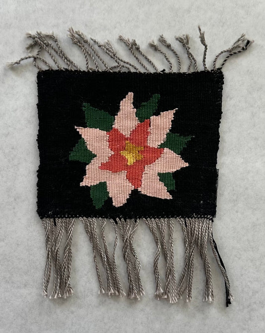 Star Flower- Judy Cochran(PHWG)