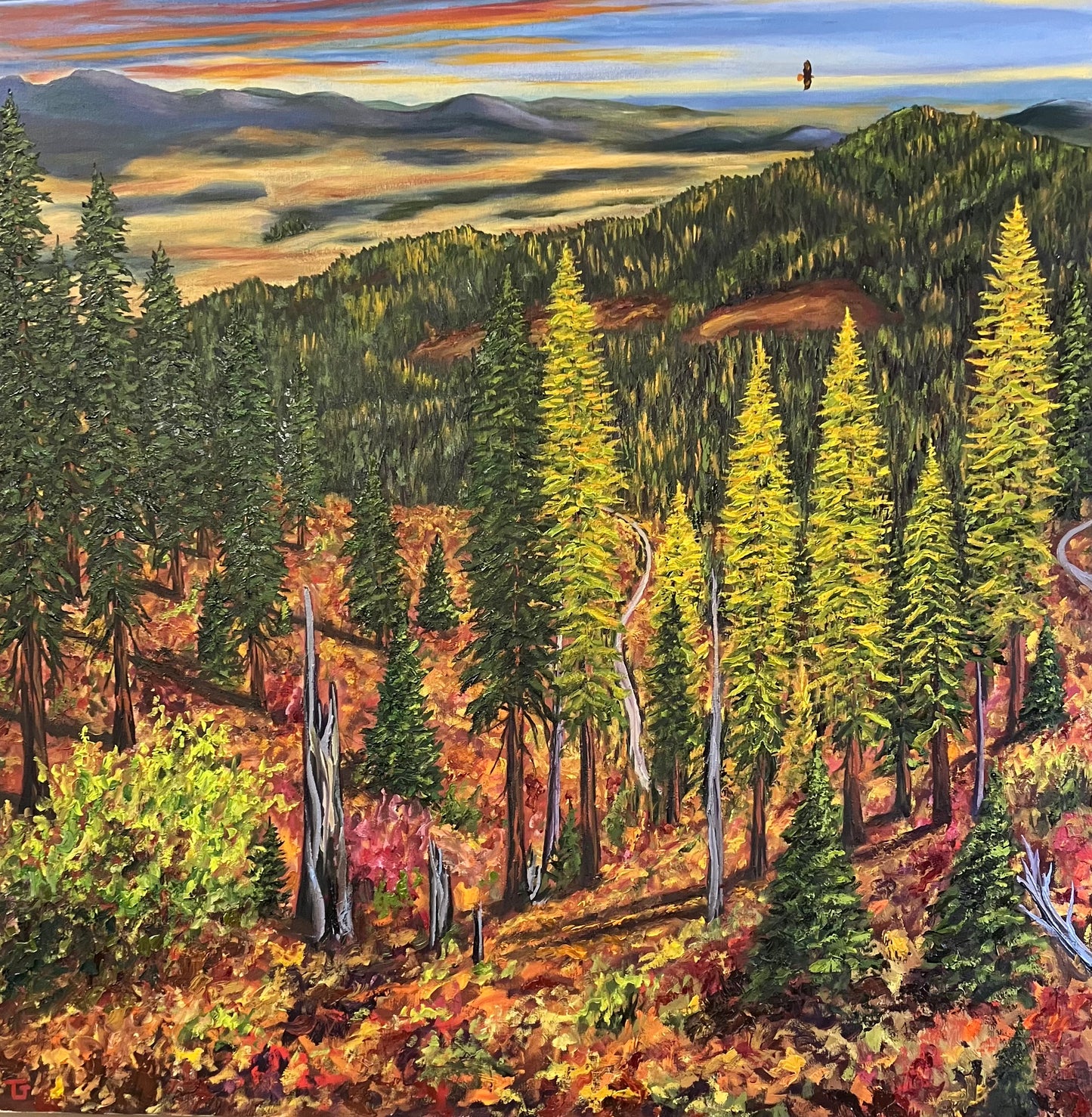Redtail Campground,Mary McKroskey State Park, ID.