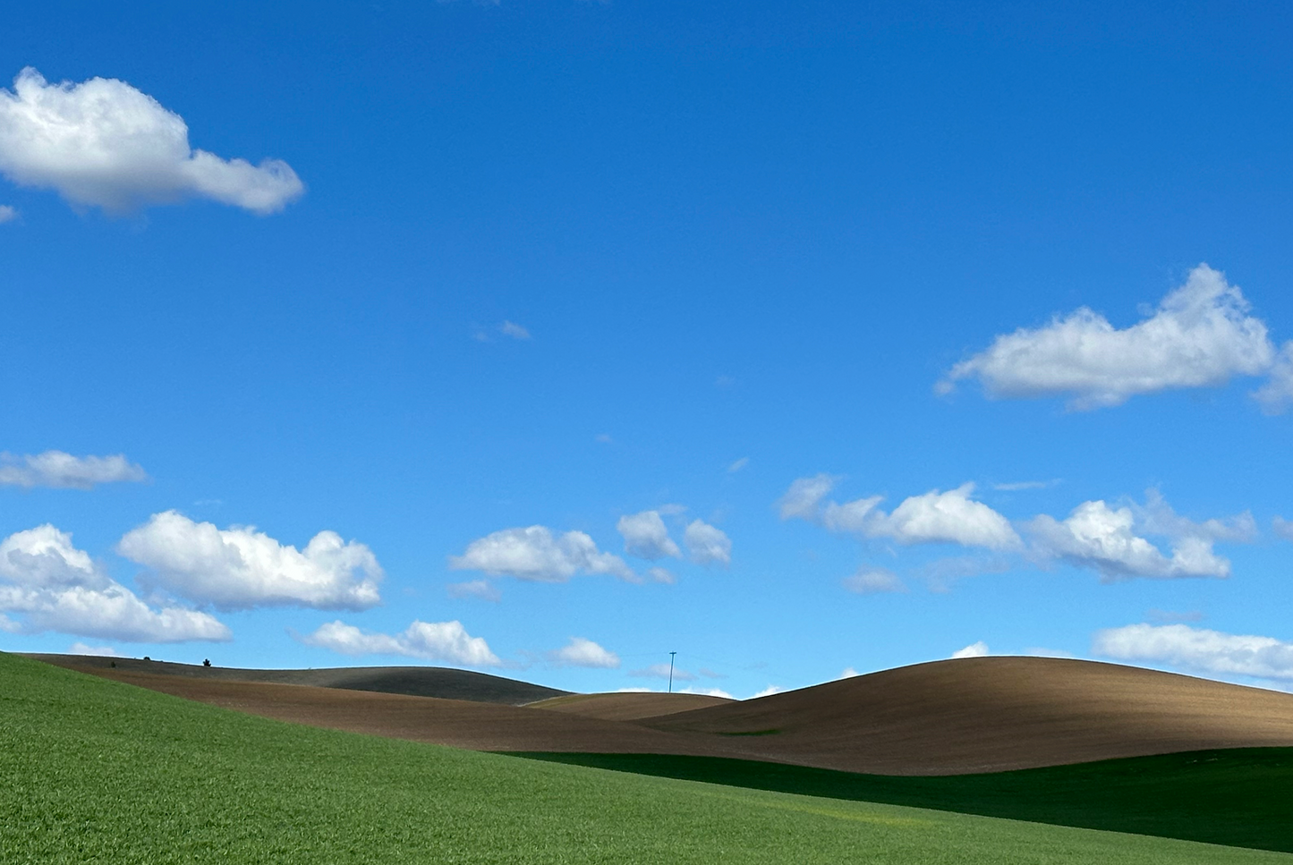 Whitman County Hills - Andy Peltier - Photo on Acrylic