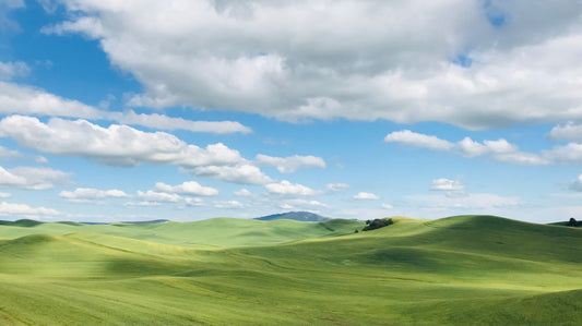 Palouse Greeting Cards - Andy & Karen Peltier - Merchandise