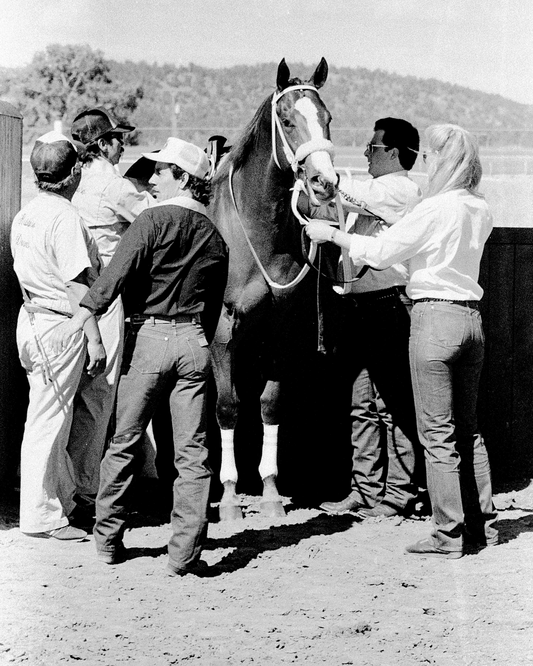 Seven Minutes to Post