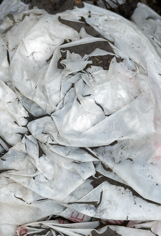 PLASTIC BAG 3 - Jim Trivelpiece - Photograph